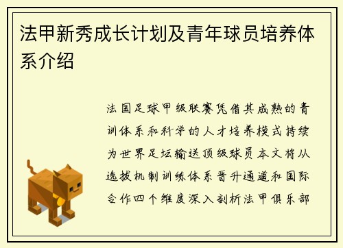 法甲新秀成长计划及青年球员培养体系介绍