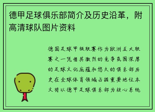 德甲足球俱乐部简介及历史沿革，附高清球队图片资料